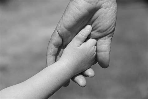 Soft Touch Photograph by David Page - Fine Art America