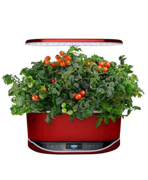 AeroGarden Heirloom Cherry Tomatoes 9-Pod Refill Kit - Macy's