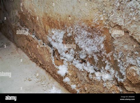 White Mold Basement Hi Res Stock Photography And Images Alamy