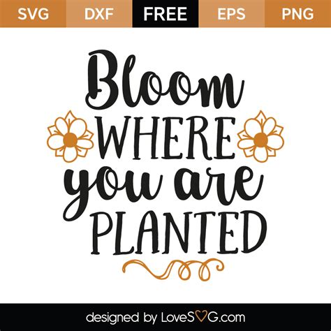 Bloom Where You Are Planted Lovesvg