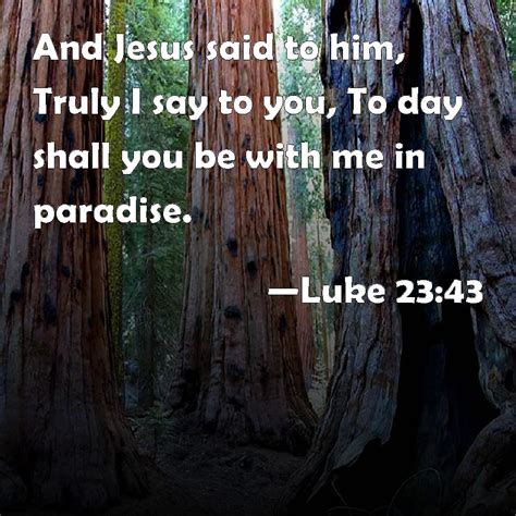 Luke 23 43 And Jesus Said To Him Truly I Say To You To Day Shall You