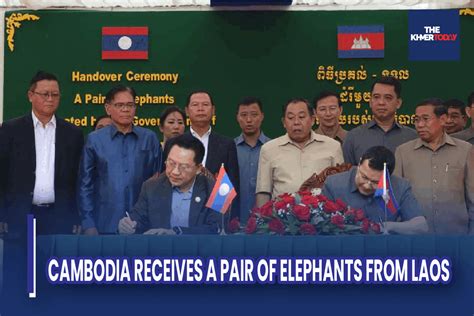 The Khmer Today Cambodia Receives A Pair Of Elephants From Laos