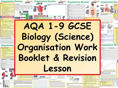 Aqa Gcse Biology Science Biological Organisation Work Booklet