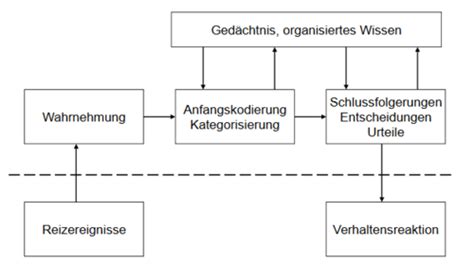 6 Soziale Kognition Und Emotion Karteikarten Quizlet