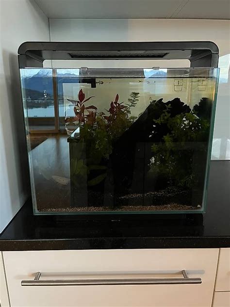 Aquarium Amazonas E Inkl Zubeh R Im Kanton Luzern Tutti Ch