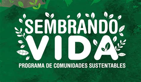 Sembrando Vida Llega A Pueblos Y Comunidades Ind Genas De M Xico