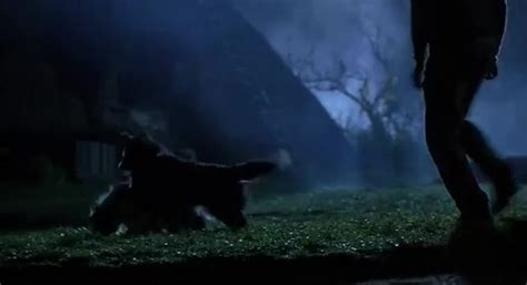 YARN Babe 1995 popular video clips Movie 紗