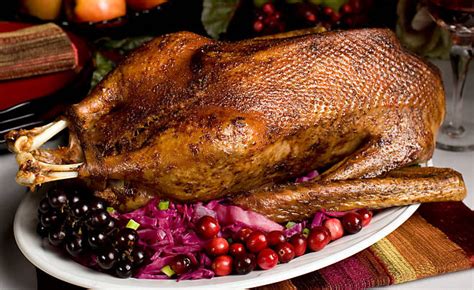 The top 21 Ideas About Christmas Goose Dinner – Best Diet and Healthy Recipes Ever | Recipes ...