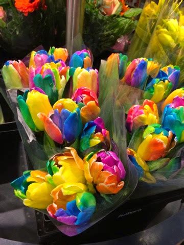 Coulda Shoulda Woulda: Rainbow Tulips