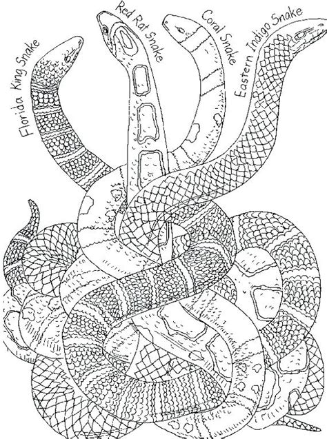 Ninjago Serpentine Coloring Pages At GetColorings Free Printable