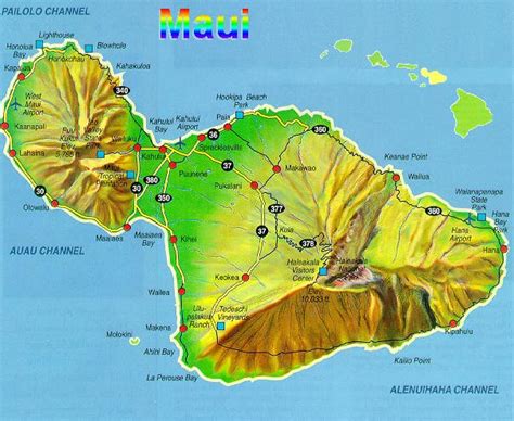 Topographic Map Of Maui - Alvina Margalit