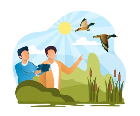 Man Birdwatching Illustrations Royalty Free Vector Graphics And Clip Art