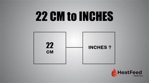 convert  cm  inches