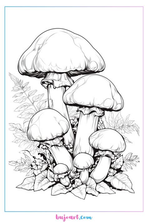 Aesthetic Mushroom Coloring Pages Bujo Art