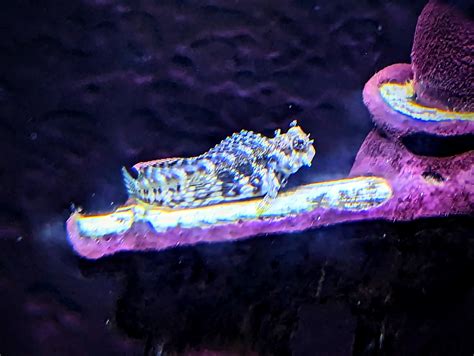 Makin Doors! – TheDeLay