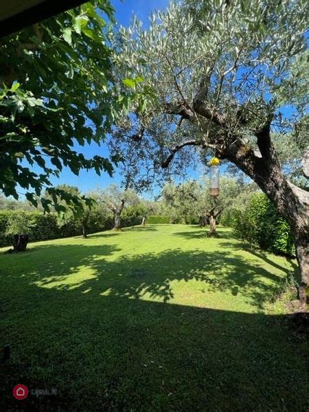 Terreni Agricoli In Vendita A Montefiascone In Zona Centro Casa It