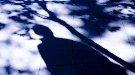 High Risk Teen Sex Offender On Probation Breaks Into Mackay Home Molests 10 Year Old Girl