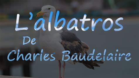 L Albatros De Charles Baudelaire Po Me Avec Les Paroles Youtube