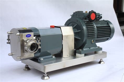 Rotary Lobe Pump Working Principle - Inox mill