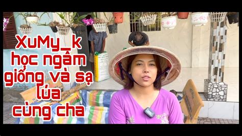 XuMy k chia sẻ cách ngâm giống và sạ lúa miền tây có gì khác XuMy k