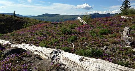 Mount St Helens Wa Imgur