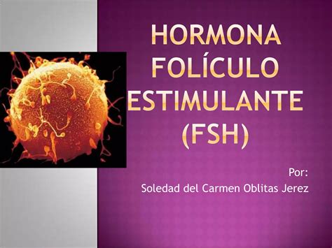 Hormonio Foliculo Estimulante O Que É - Hormona folículo estimulante | PPT