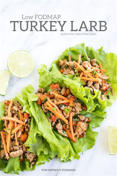 Low Fodmap Turkey Larb Fun Without Fodmaps