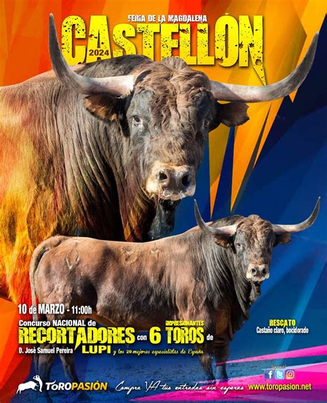 En imagen otro de los toros de José Samuel Pereira Lupi para el