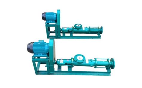 Paper Pulp Transfer Screw Pump For Paper Industry At 9440000 Inr In