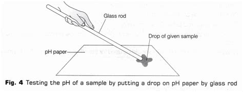 Cbse Class 10 Science Lab Manual Ph Of Samples A Plus Topper