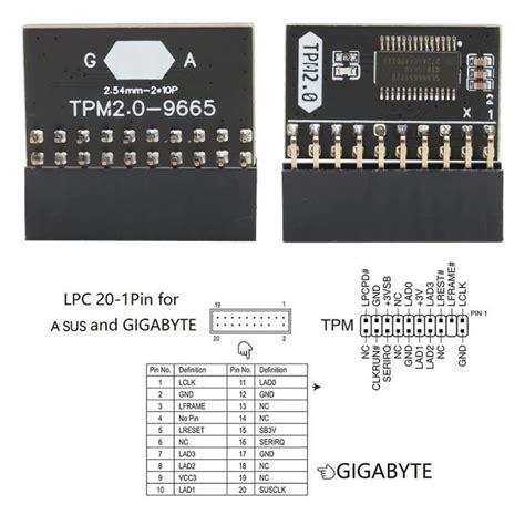 PAL Module de sécurité de cryptage TPM 2 0 20 broches pour Gigabyte