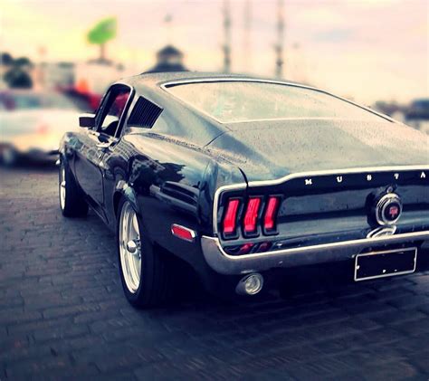 Ford Mustang Hd Wallpaper Wallpaper Flare