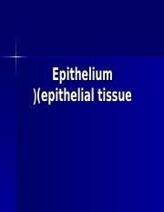 Epithelium: Structure, Function, and Classification of | Course Hero