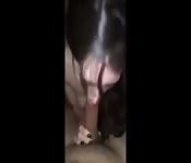 Alle Dingen Waar We Van Houden PORN