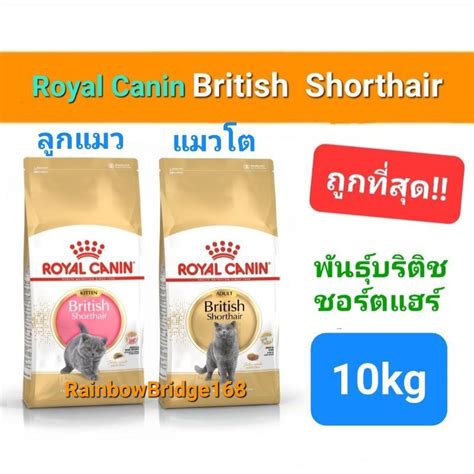 Royal Canin British Shorthair Kitten 10kg Exp 12 25 British Shorthair