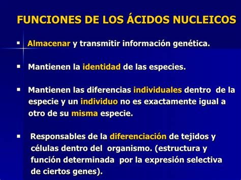 Acidos Nucleicos