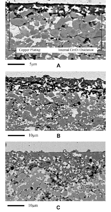 Cross Sectional Bse Images Of The Cr C Nicr Coating Following