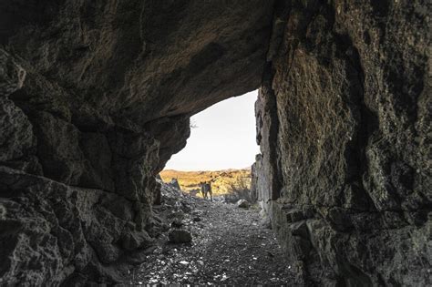 Uttarkashi Tunnel Tragedy2023: Struggles And Setbacks ""Rescuers ...