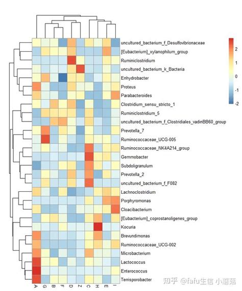 R语言 pheatmap 包绘制热图基础部分 知乎
