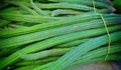 Murungai Vegetable And Leaf Moringa Oleifera Leaves Drumstick Leaves