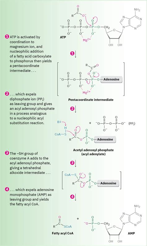 21.3: Reactions of Carboxylic Acids - Chemistry LibreTexts