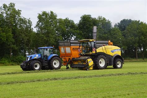 New Holland Gras Hakselen Met New Holland FR 550 Trekkerweb Nl