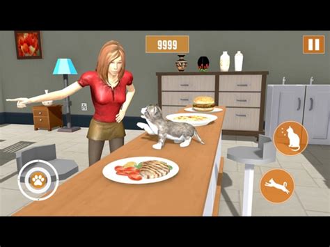 Kitten Cat Simulator Games 3d For Ios Iphoneipadipod Touch Free