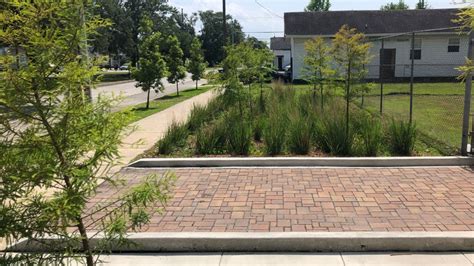 How New Orleans neighborhoods are using nature to reduce flooding - Grist | Grist