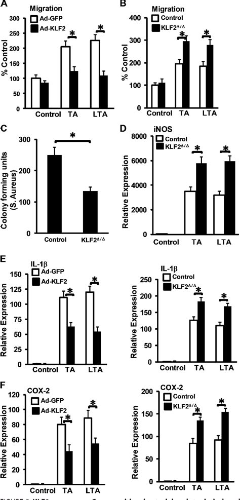 Figure 5 From A Myeloid Hypoxia Inducible Factor 1α Krüppel Like Factor