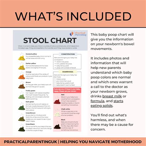 Baby Stool Chart Baby Stool Chart Baby Poop Color Chart With Pictures