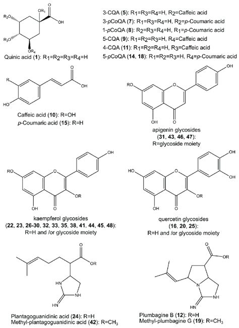 General Structures And Substitution Patterns Of Phenolic Acids