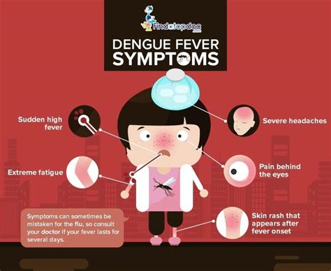 How Does Dengue Fever Spread