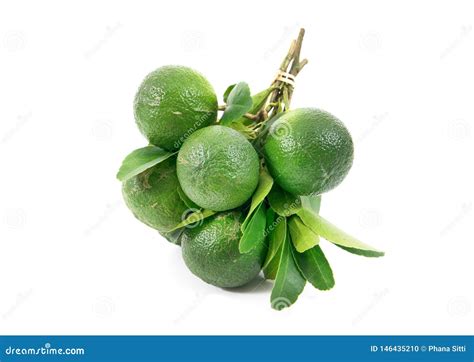 Limes Whole With Green Leaves Isolated On White Background Limes