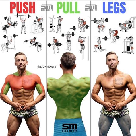 Push Pull Legs Vs 5 Day Split